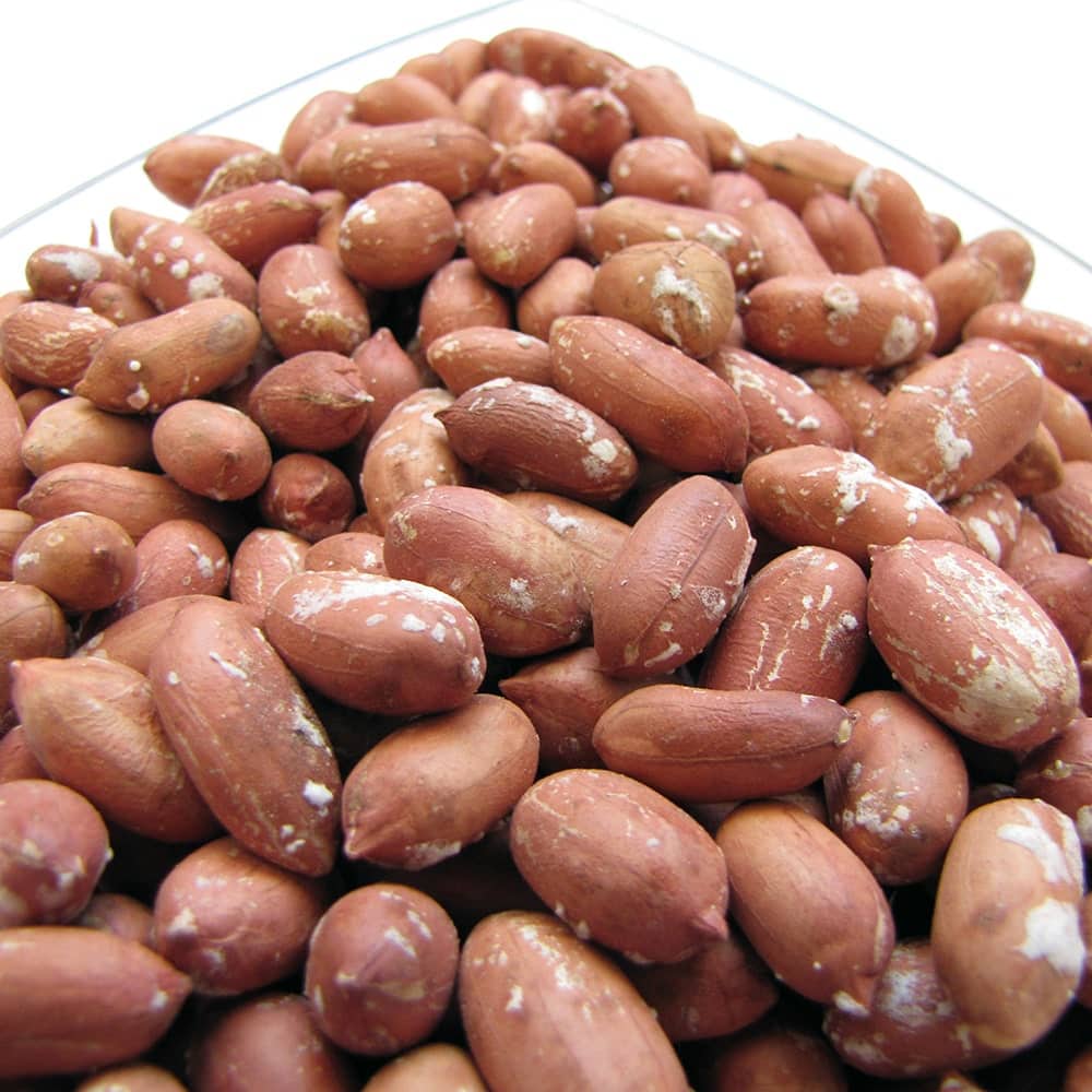 تاجر الأعلاف