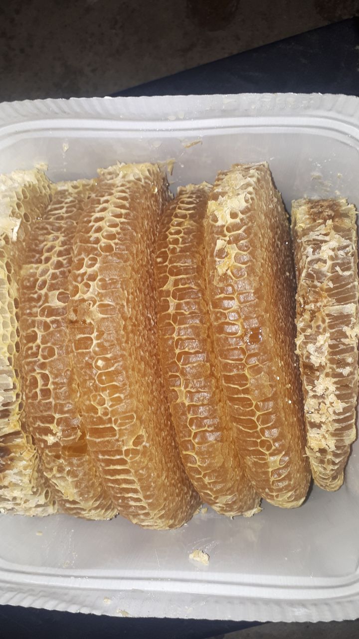 عسل باموم طبیعی