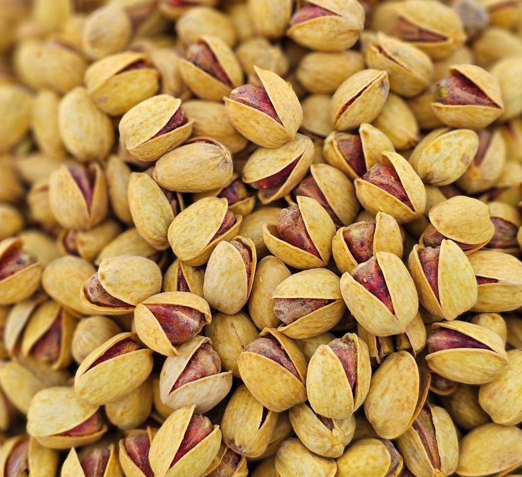 بهترین آحیل شب یلدا