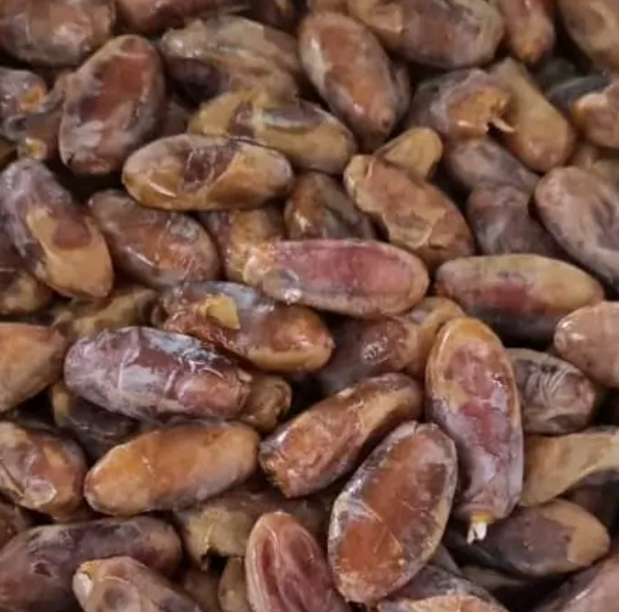 فروش انواع خرما