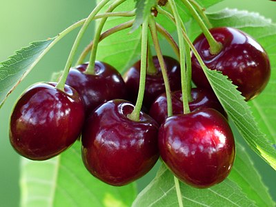 میوه لوکس