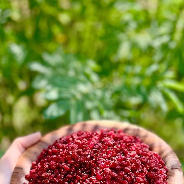 زرشک درجه یک