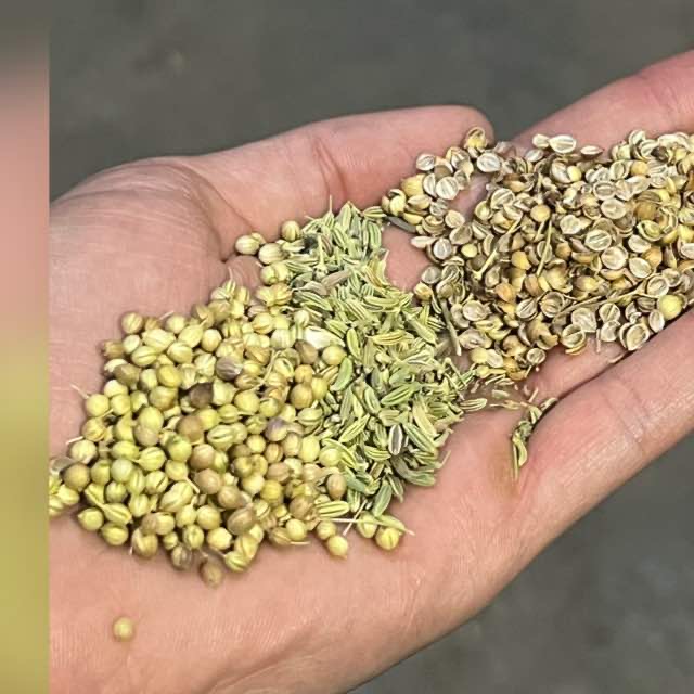 گیاهان دارویی،عطاری