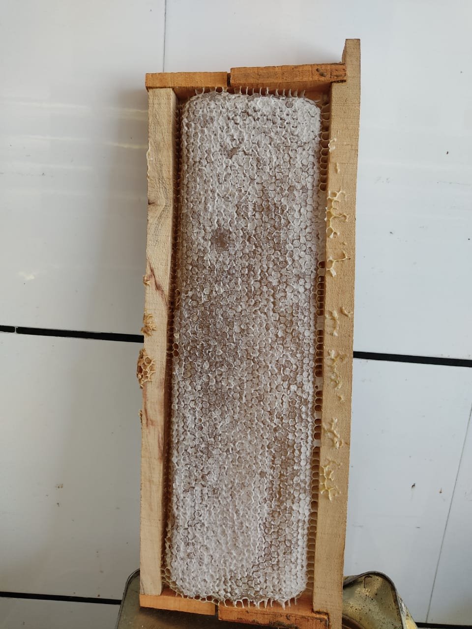 عسل طبیعی ییلاقات 