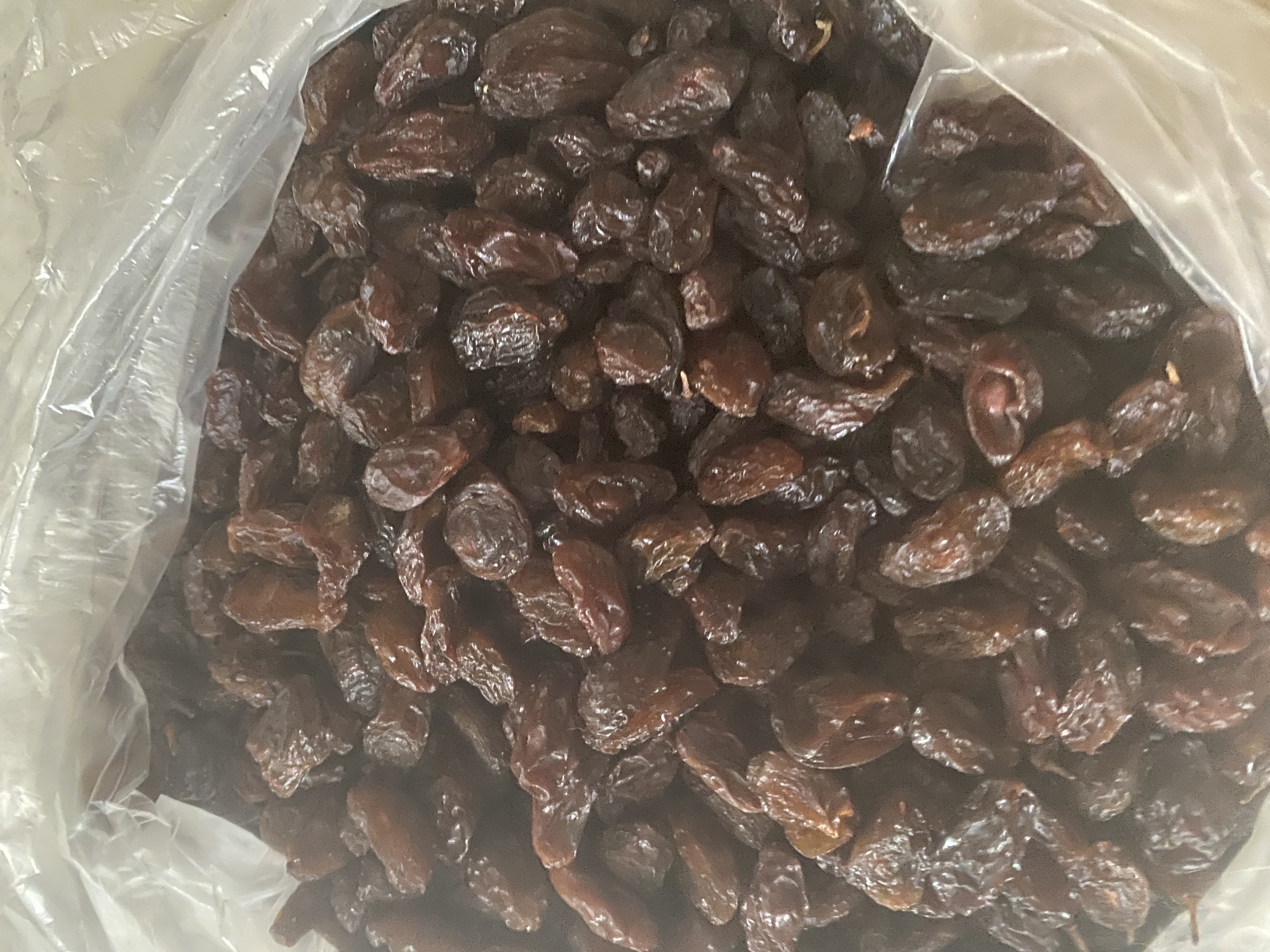 فروش کشمش