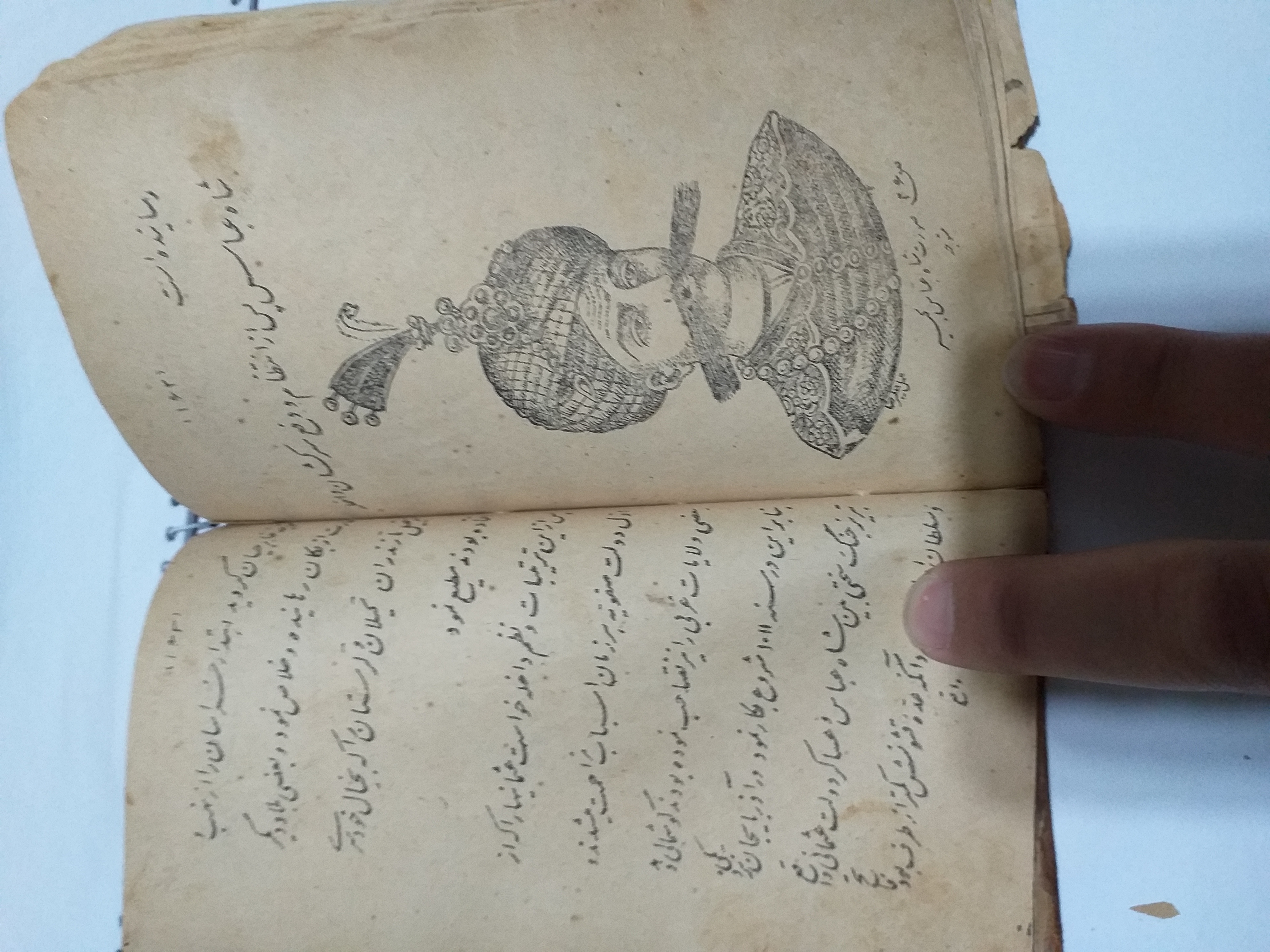 کتابچه در مورد تاریخ و سکه های نقره