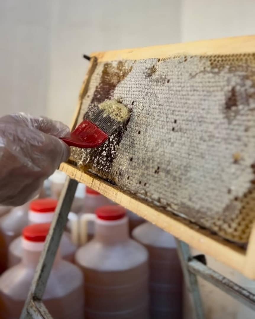 خوراکیهایی از دل طبیعت دنا
