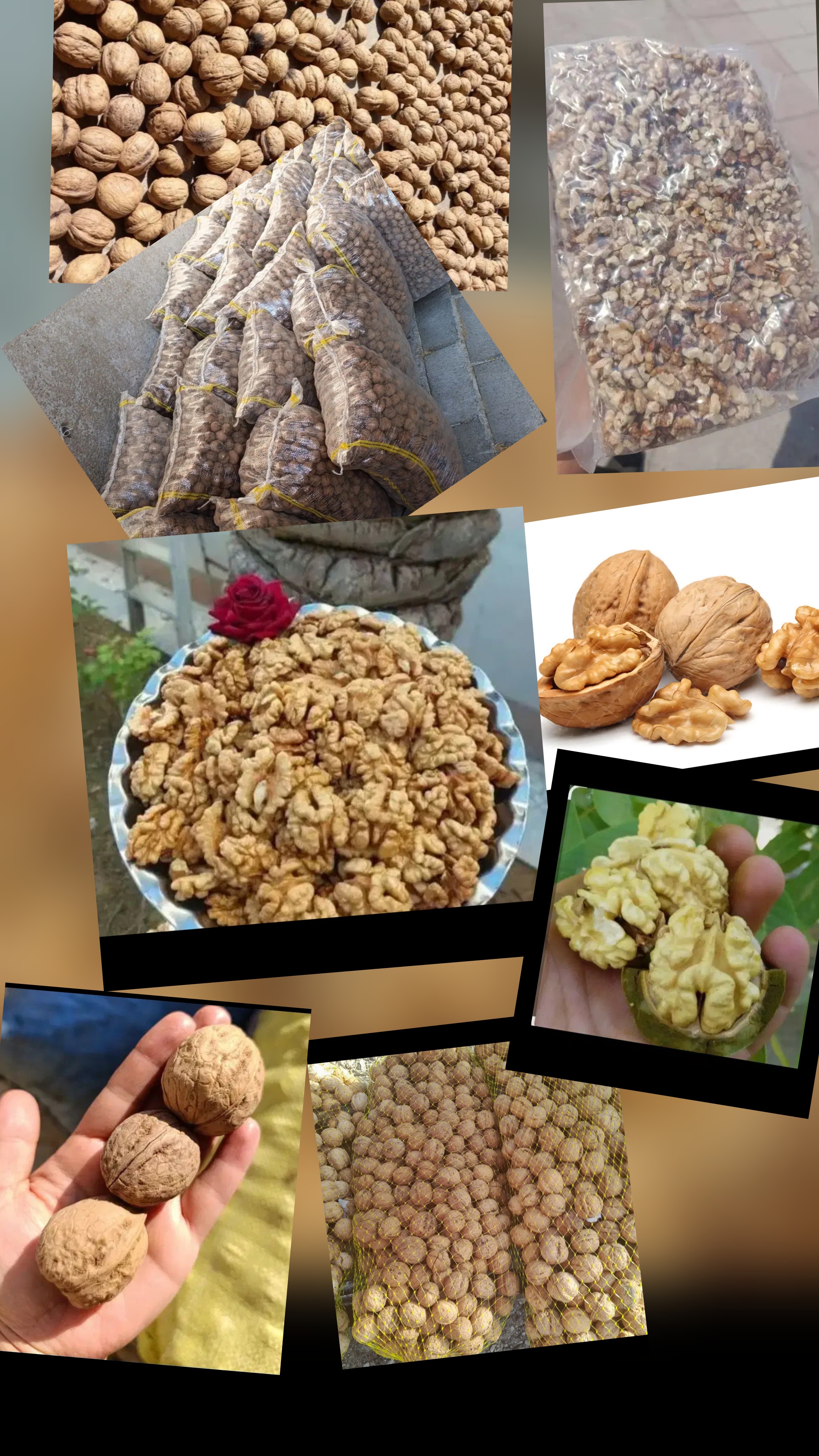 گردو ومغز گردو درجه یک