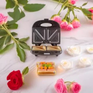 ساندویچ ساز دو کاره راف المان