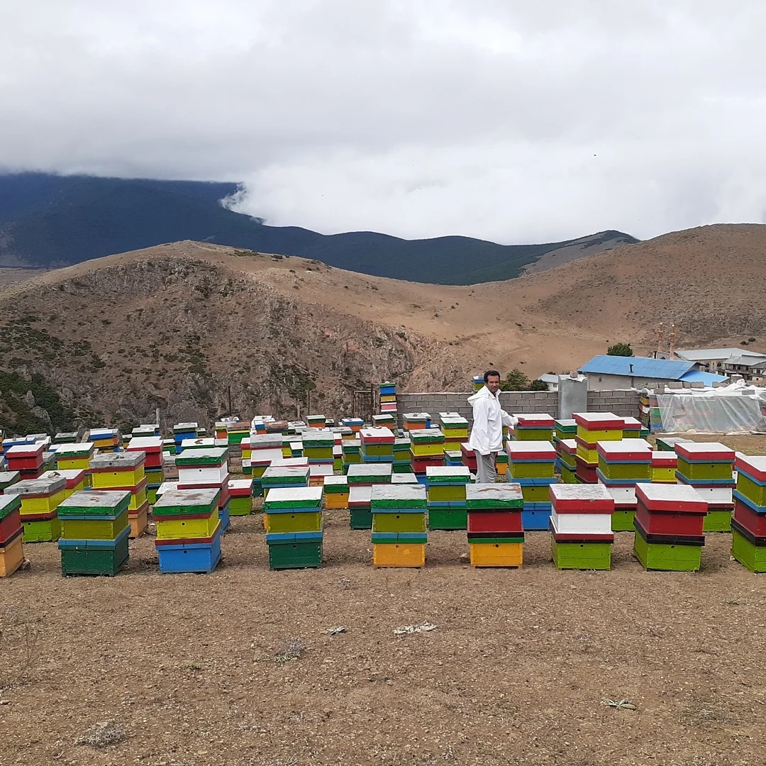 عسل طبیعی کوهستان ایران مازندران 