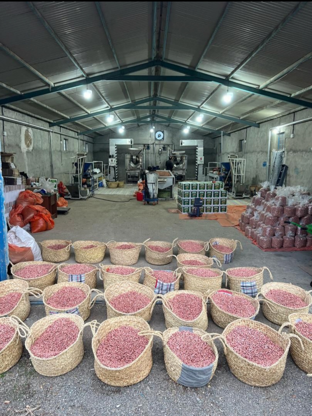 بادام زمینی