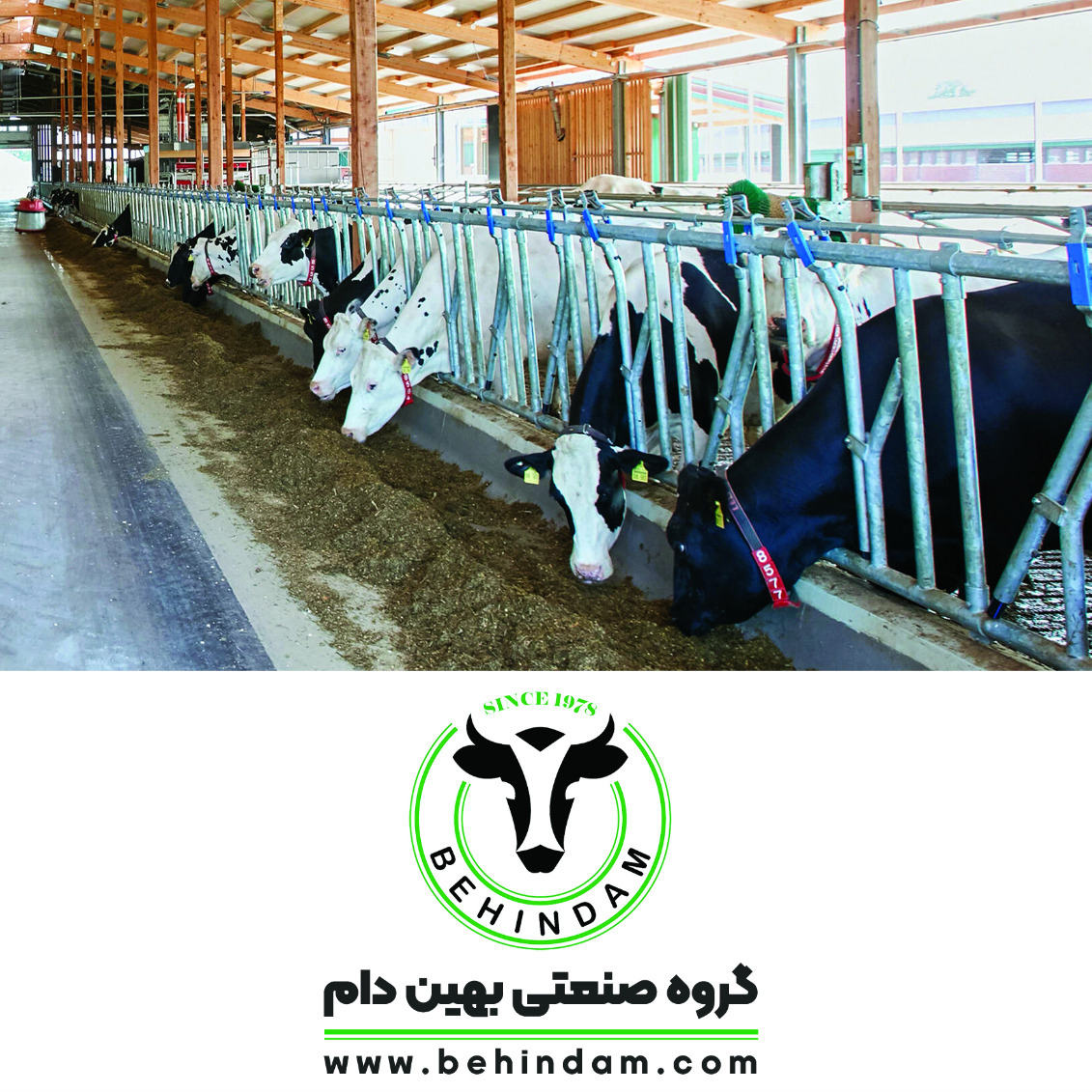 تجهیزات گاوداری و دامداری