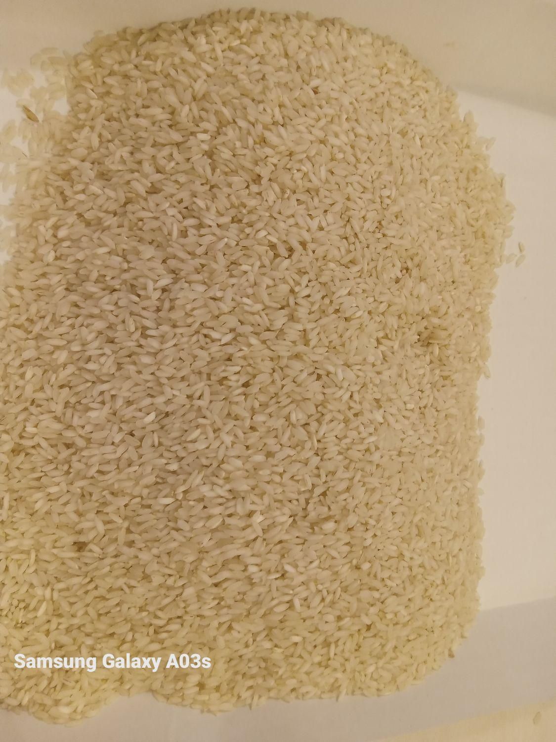 عمده فروش برنج عنبر بو