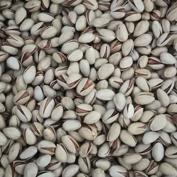 فروش پسته احمد آقایی درجه یک