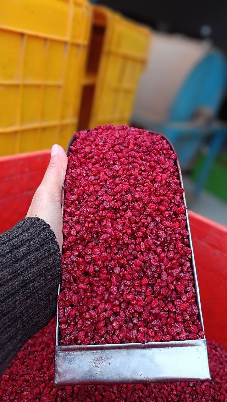 زرشک