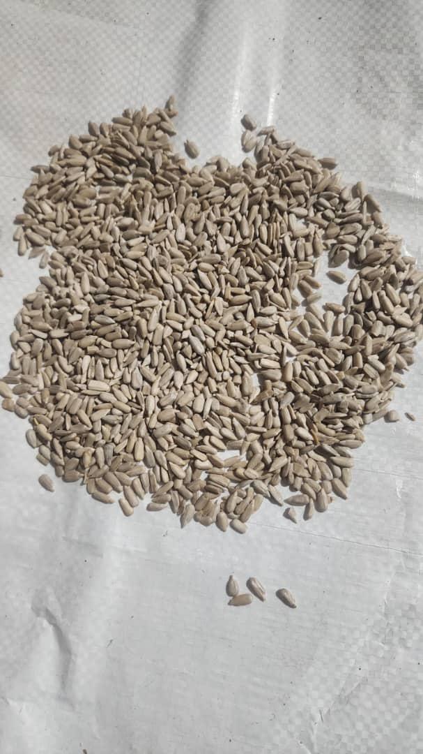 روغن مارکت اکسیر شیراز