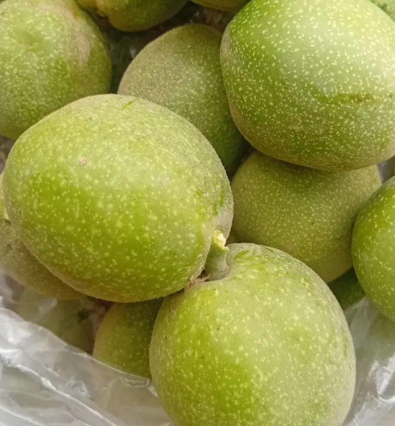 گردو ومغز گردو درجه یک