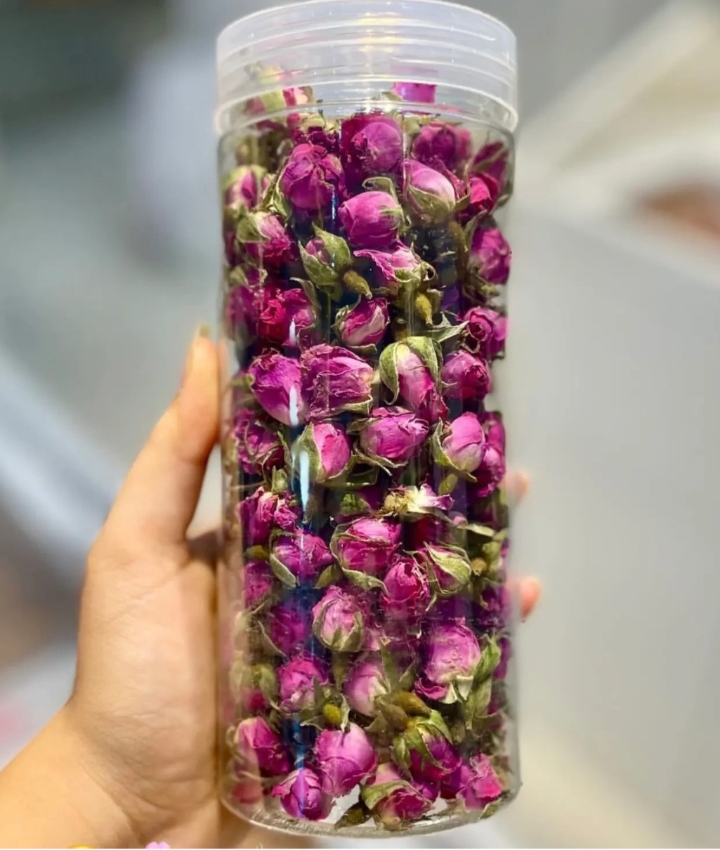 گل محمدی 