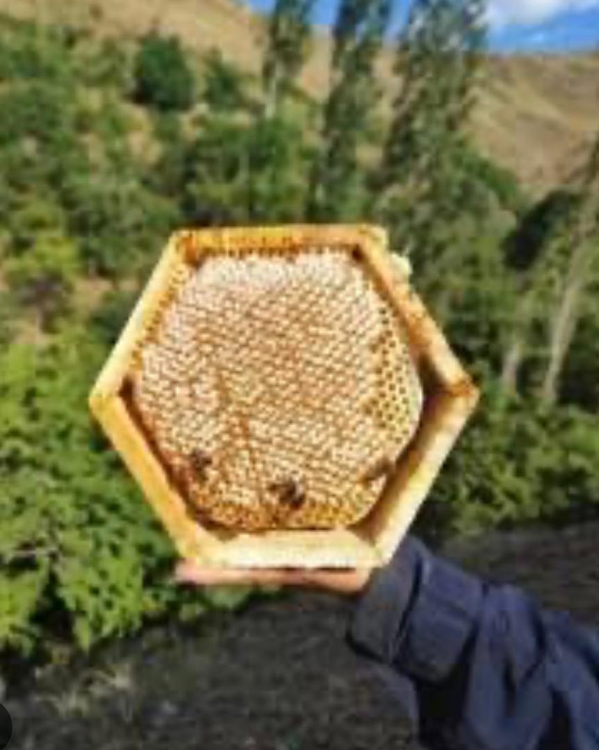 العسل الطبیعی