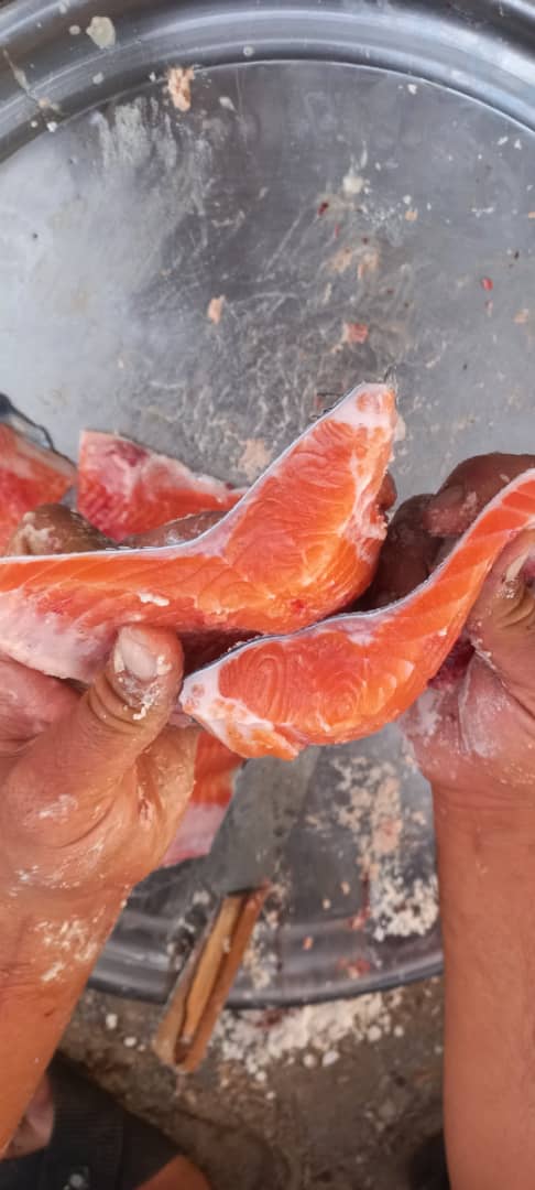 ماهی سالمون تازه