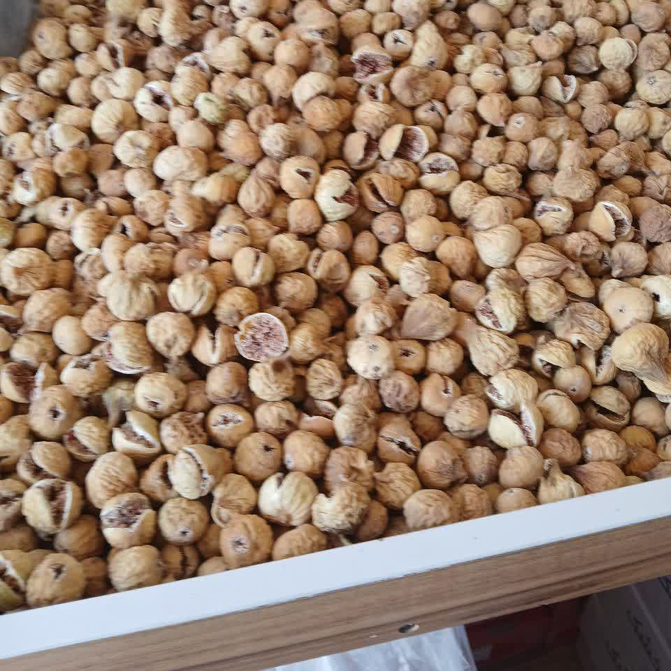 انجیر درجه یک