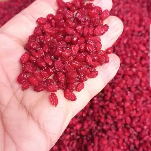 زرشک درجه یک