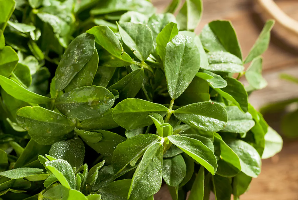 سبزی و کرفس سرخ شده آماده (چنگاور) 