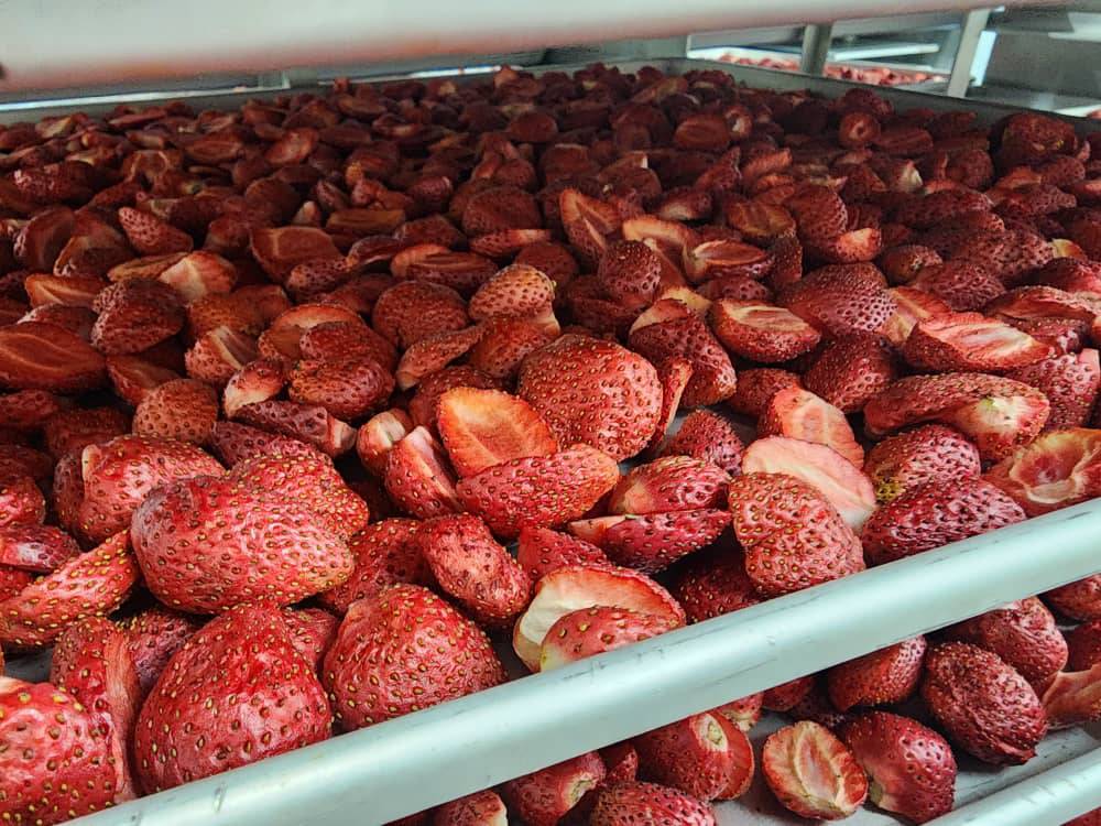 میوه خشک به روش غیرحرارتی