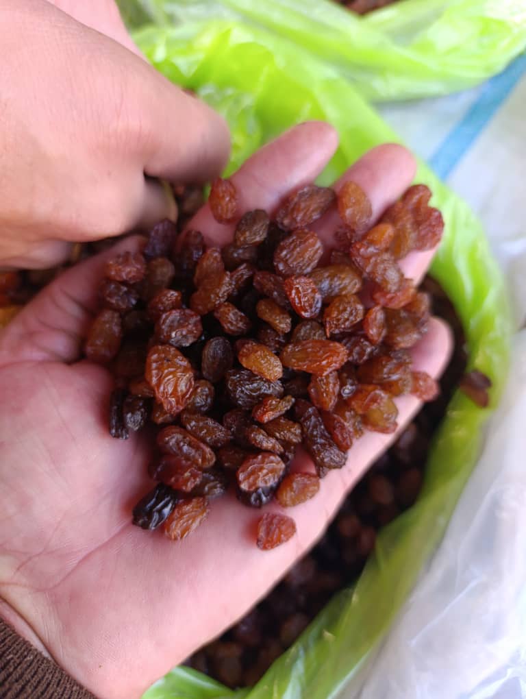 کشمش طلایی 