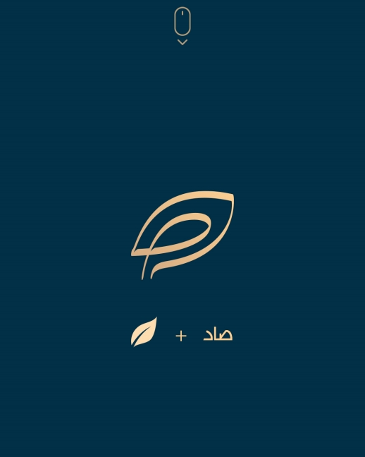طراحی تخصصی لوگو