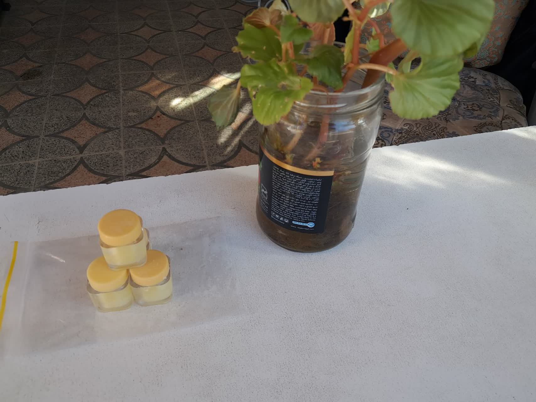 ژله رویال اصل و طبیعی 