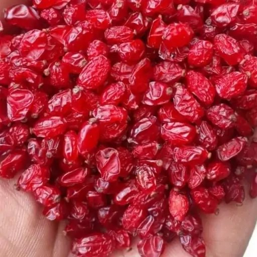 زرشک اعلا بهترین زرشک بازار