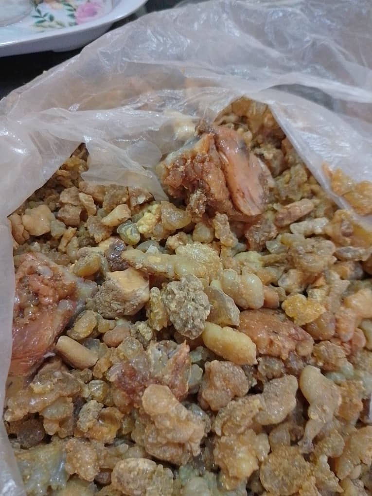 آنغوزه 