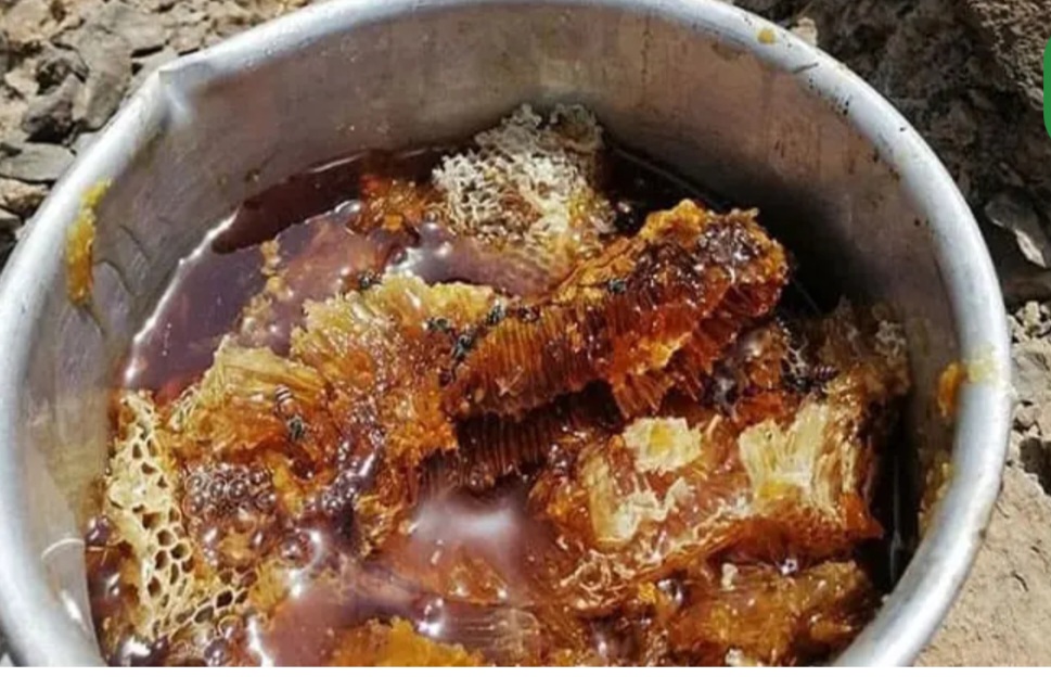 محصولات ارگانیک بشرط اصل 