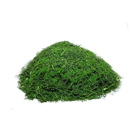 شوید خشک و سبزی ماهی 