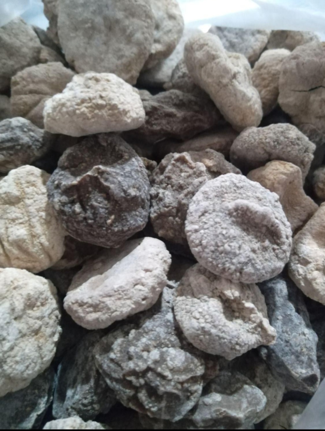 کشک مرغوب از روستاهای سرسبز خراسان
