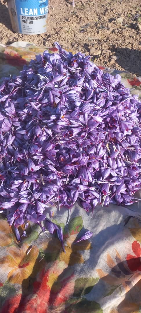 زعفران سوپر نگین ایرانی