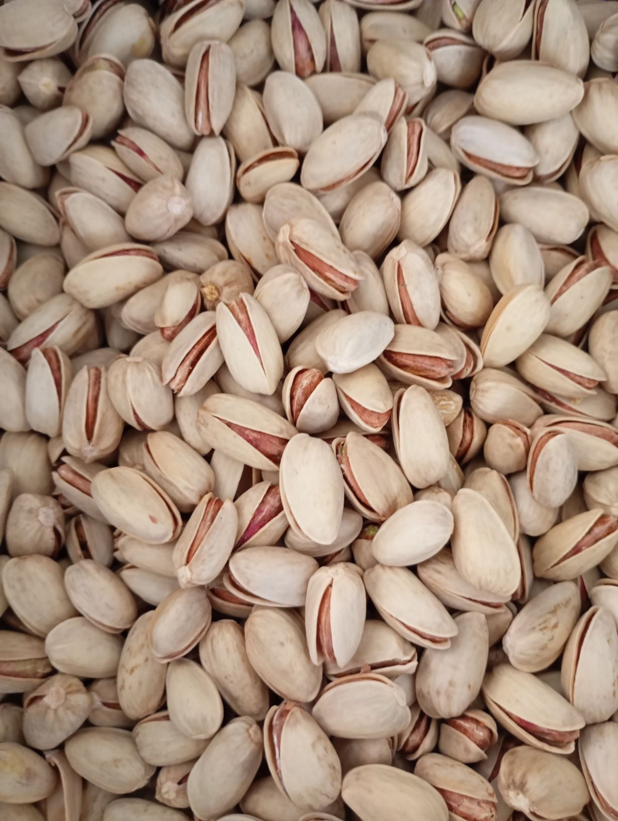 فروش پسته خندان  لوکس و درجه یک