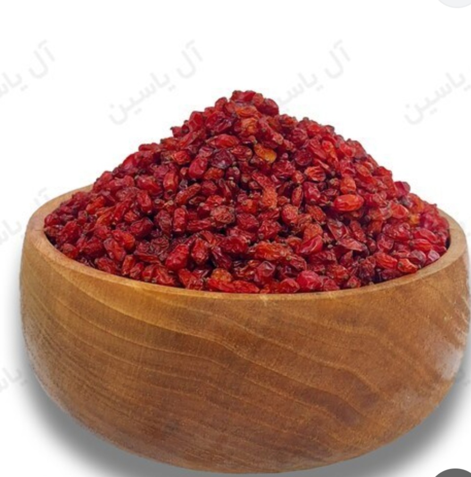 زرشک فرد علاء 