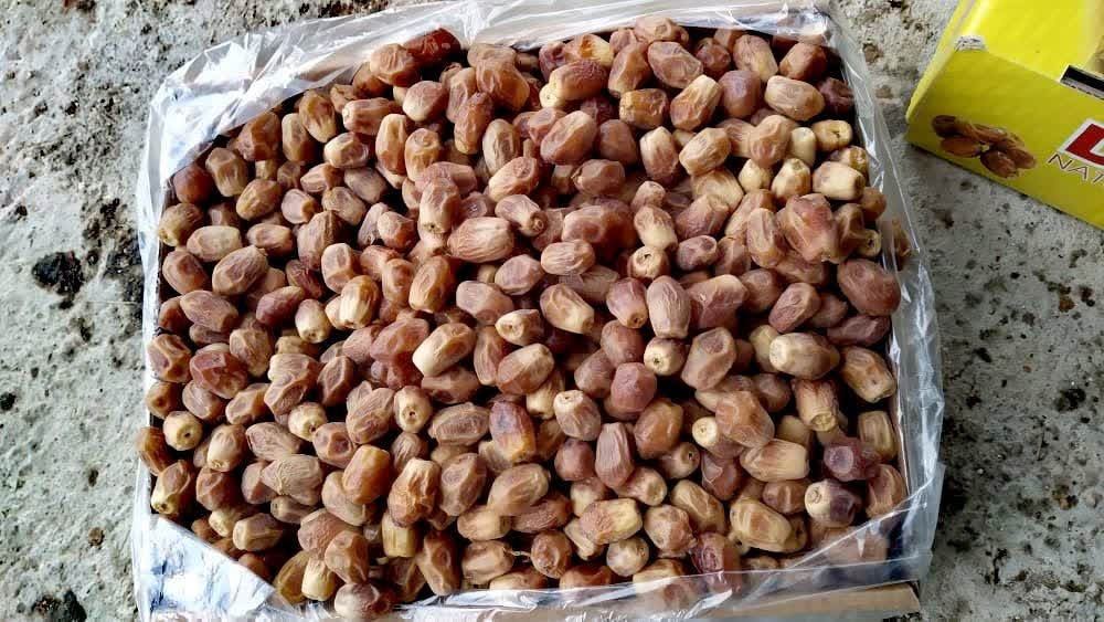 خرمای زاهدی 