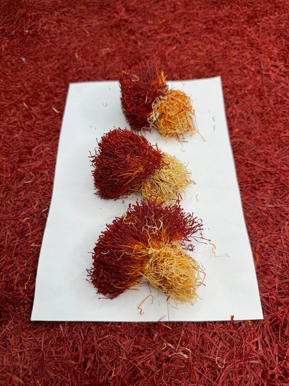 Saffron export