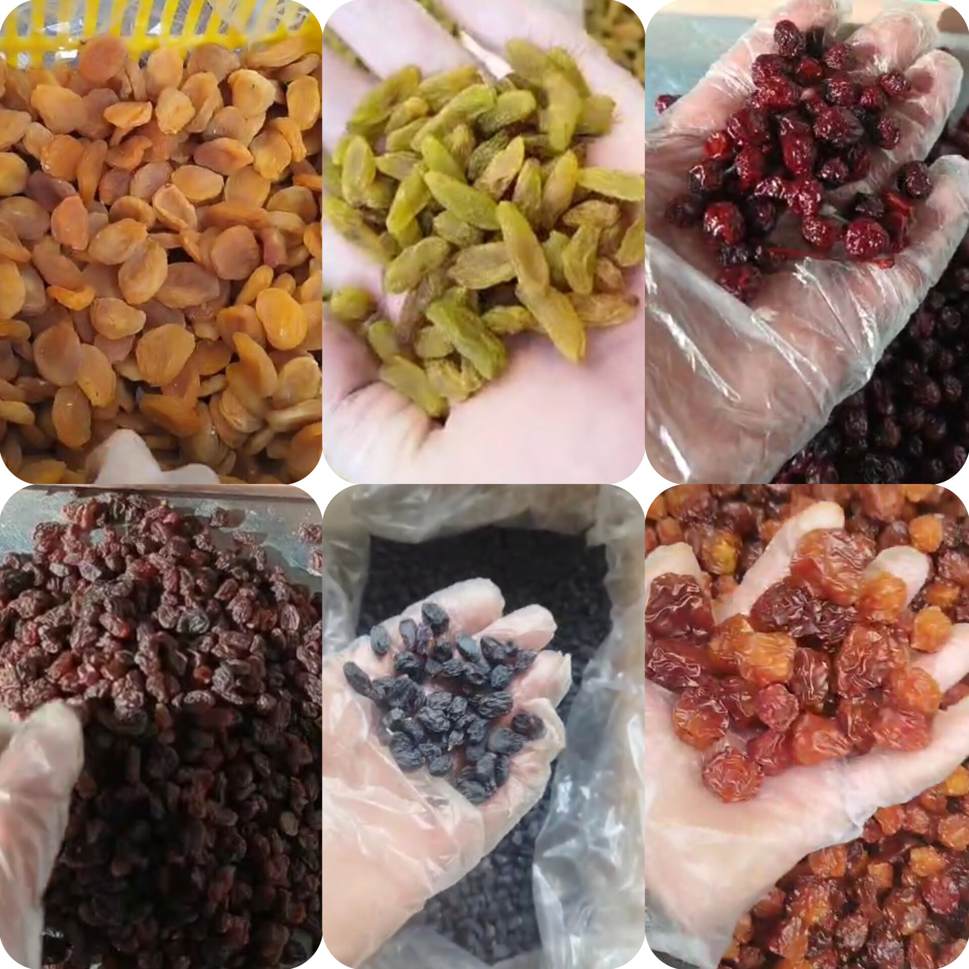 خشکبار اعلاء