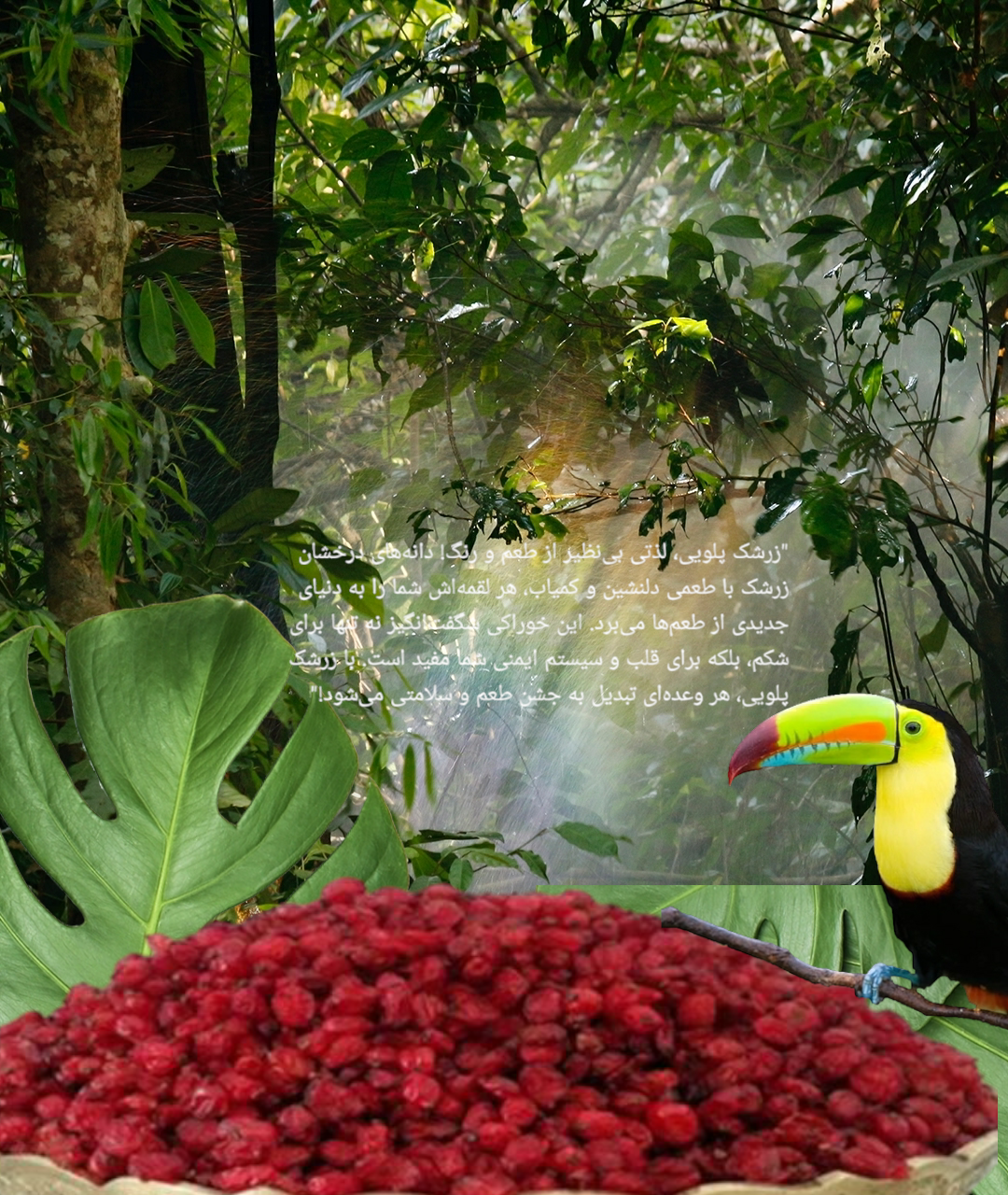 عسل ارگانیک و گیاهان دارویی