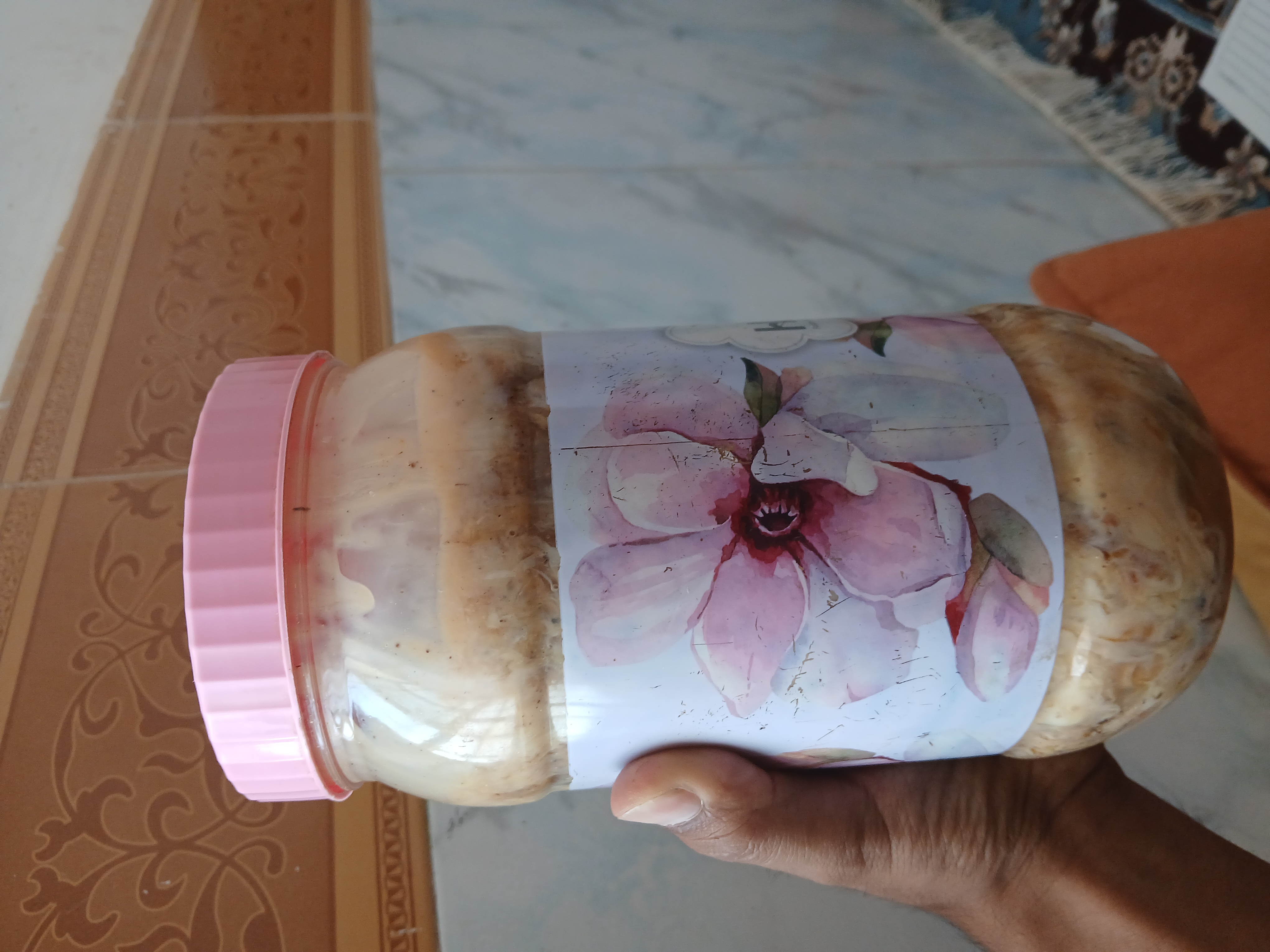 شیره انغوزه خراسان جنوبی
