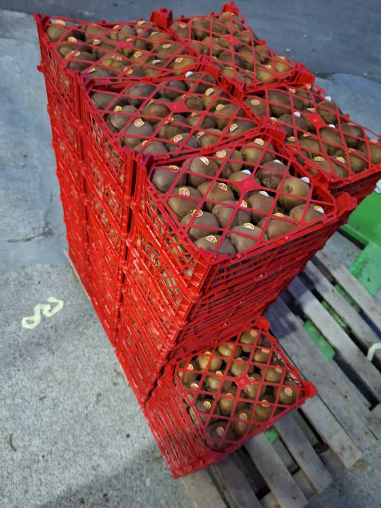 فروش میوه کیوی بصورت عمده