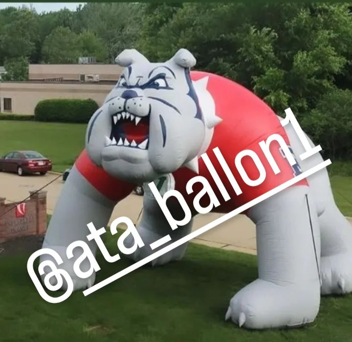 بالن تبلیغاتی 