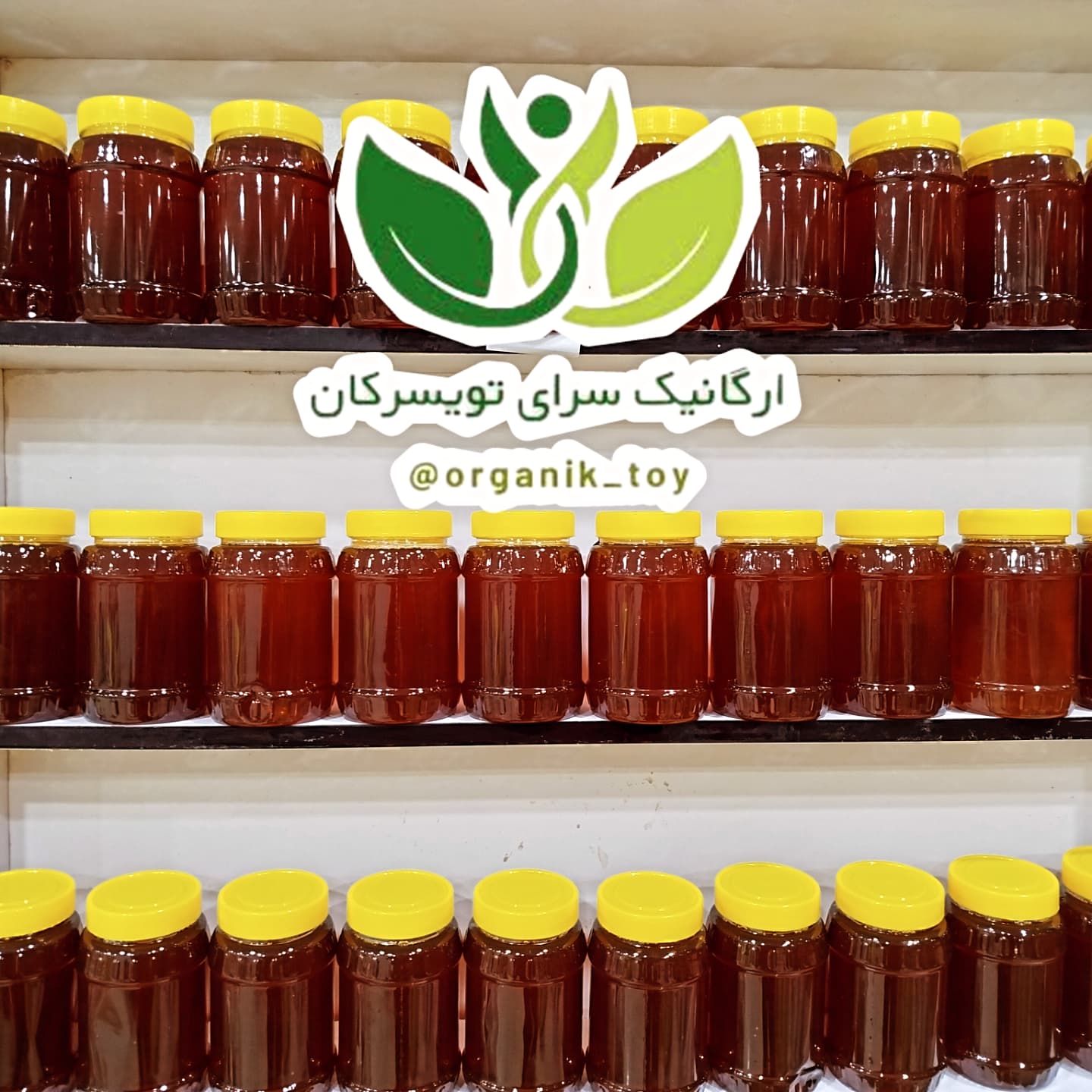 انواع مغز گردو ارگانیک وعسل طبیعی
