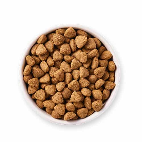غذای پستانداران و طیور