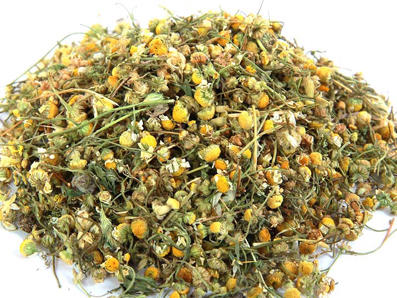 بابونه درجه ۱