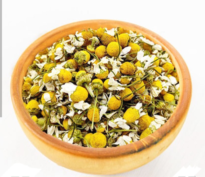 گیاهان دارویی